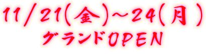 11/21(��)�`24(��) �O�����h�n�o�d�m 